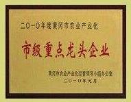 ***企（qǐ）業榮譽（yù）證書